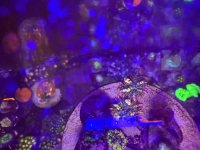 IMG_1137.jpeg