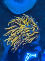 IMG_7647.jpeg