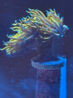 IMG_7648.jpeg
