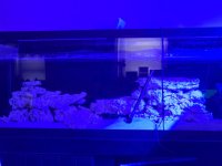 20260306_154110.jpg