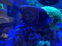 IMG_5049.jpeg