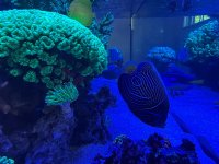 IMG_5053.jpeg