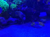 IMG_5054.jpeg