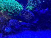 IMG_5055.jpeg