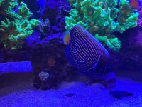 IMG_5057.jpeg