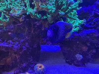 IMG_5056.jpeg