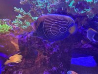 IMG_5059.jpeg