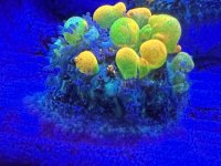IMG_5314.jpeg