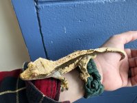 IMG_4948.jpeg