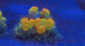 IMG_5363.jpeg
