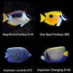 GridArt_20260727_224635558.jpg
