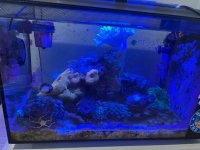 IMG_4105.jpeg