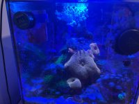 IMG_4106.jpeg
