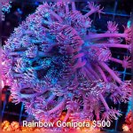 GridArt_20260728_232312078.jpg