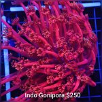 GridArt_20260728_231803970.jpg