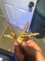 IMG_1137.jpeg