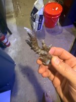IMG_1136.jpeg
