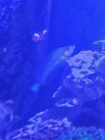 20260731_102707.jpg