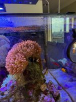 IMG_6453.jpeg