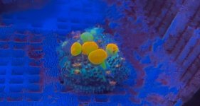 IMG_5392.jpeg