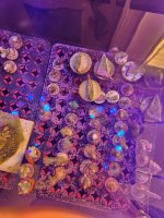 20260801_092622.jpg