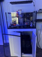 IMG_4216.jpeg