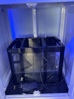 IMG_4219.jpeg