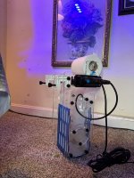 IMG_2206.jpeg