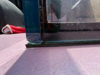 IMG_5686.jpeg