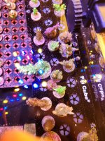 20260802_171328.jpg