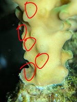 PXL_20260803_024443452~2.jpg