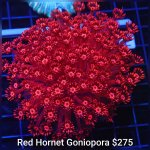 GridArt_20260803_232830831.jpg