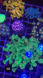 9F51779C-2F9B-404B-BE90-63C1B4DF828B.jpeg