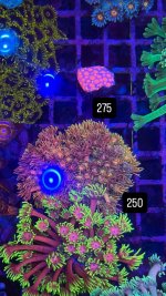 446A9958-A2C8-4D4E-868F-70F1CA496E32.jpeg