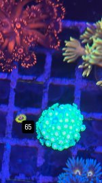 9702D3AC-3D65-4B80-B90F-7CA93EAE84E4.jpeg
