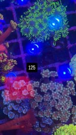 3138F317-E7FF-46D2-B4AF-2B7927373C48.jpeg