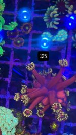 A0594F86-E4F3-4F31-A307-5C63D21E0FEB.jpeg