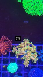 07D17835-65B1-432F-BC35-13C30CFF9AFF.jpeg