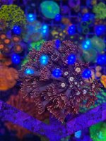 IMG_1248.jpeg