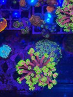 IMG_1247.jpeg