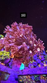 D690CEAE-CBC9-462F-B766-9B79920CC127.jpeg