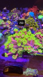 D49694DD-3135-420C-B91A-20655AB9B6AF.jpeg