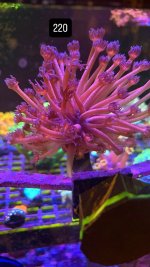 3D866356-4EC6-40D6-8F8E-86F7F92974A6.jpeg