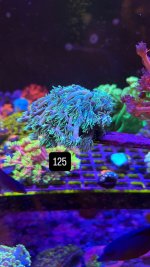 FDD12C58-FD51-4EC7-BE5D-3B31FA20AF36.jpeg