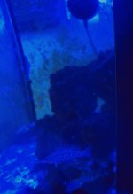 IMG_6288.jpeg
