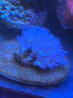 IMG_0359.jpeg