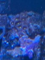 IMG_0360.jpeg