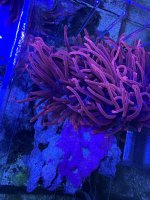 IMG_2547.jpeg