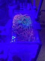IMG_5780.jpeg