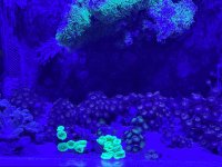 IMG_5781.jpeg